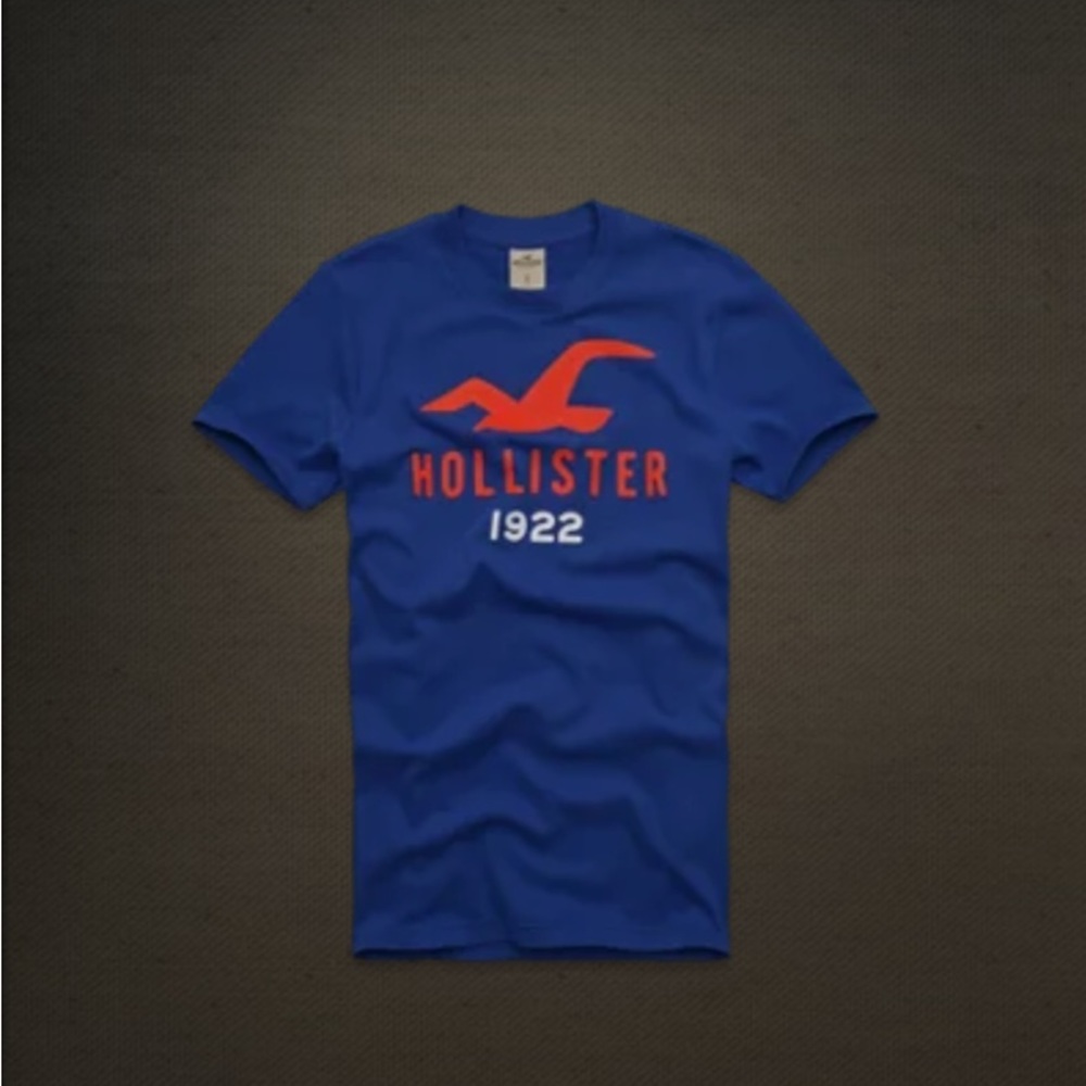 Hollister Co Victoria Beach Blue Tee